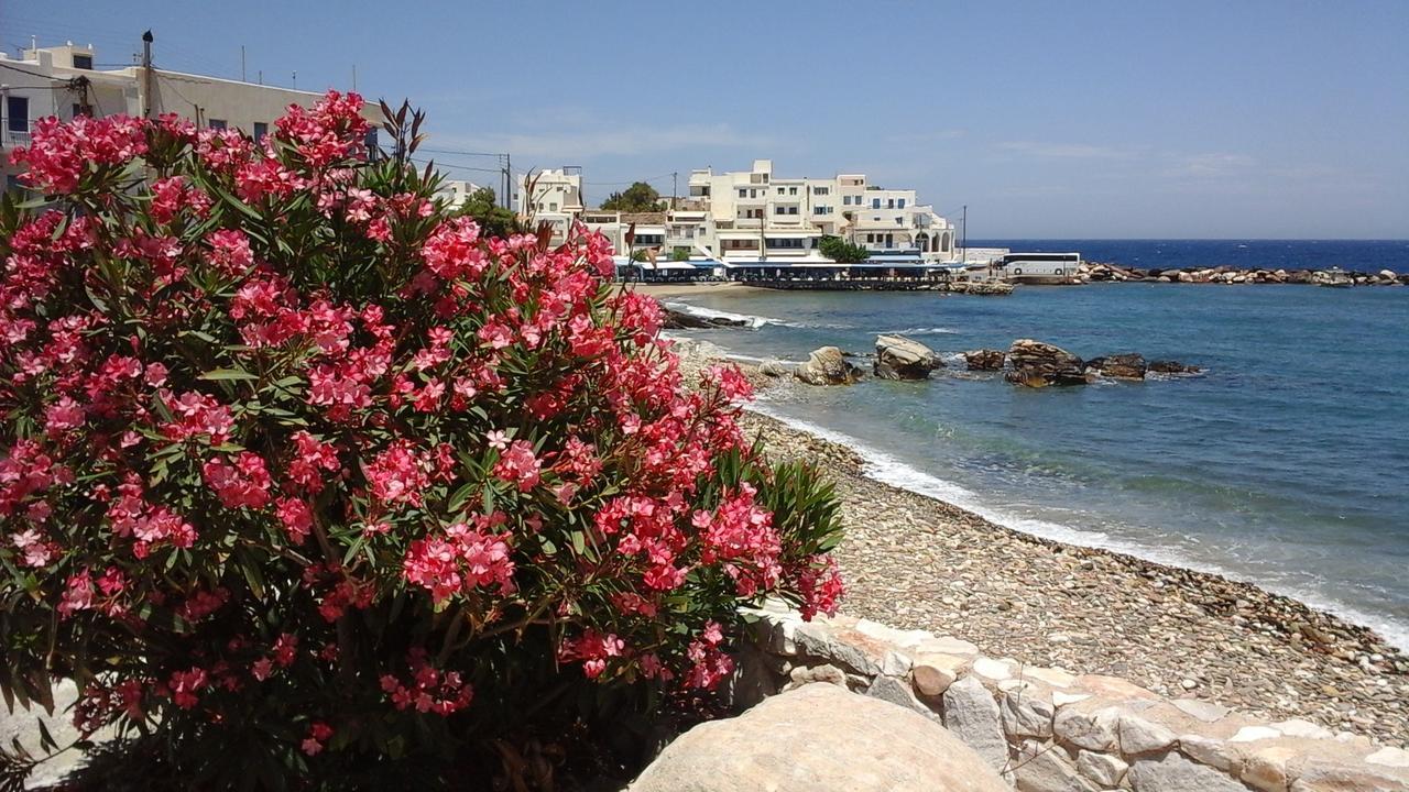 Flora's Apollon (Naxos)